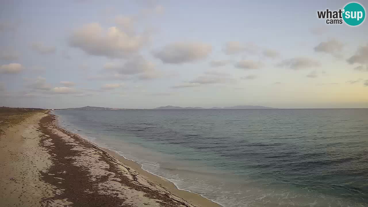 Beach Le Saline webcam live Stintino – Sardinia