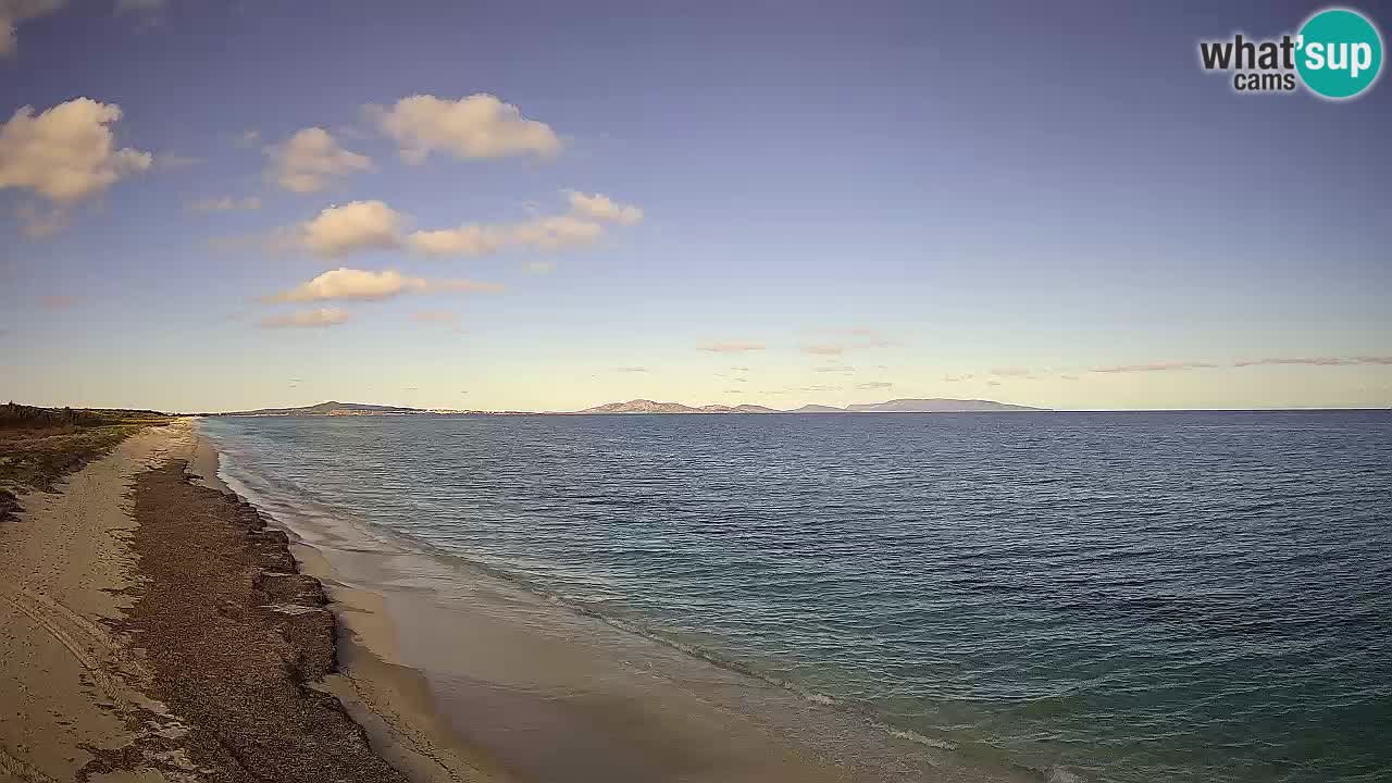 Plaža Le Saline web kamera Stintino – Sardinija