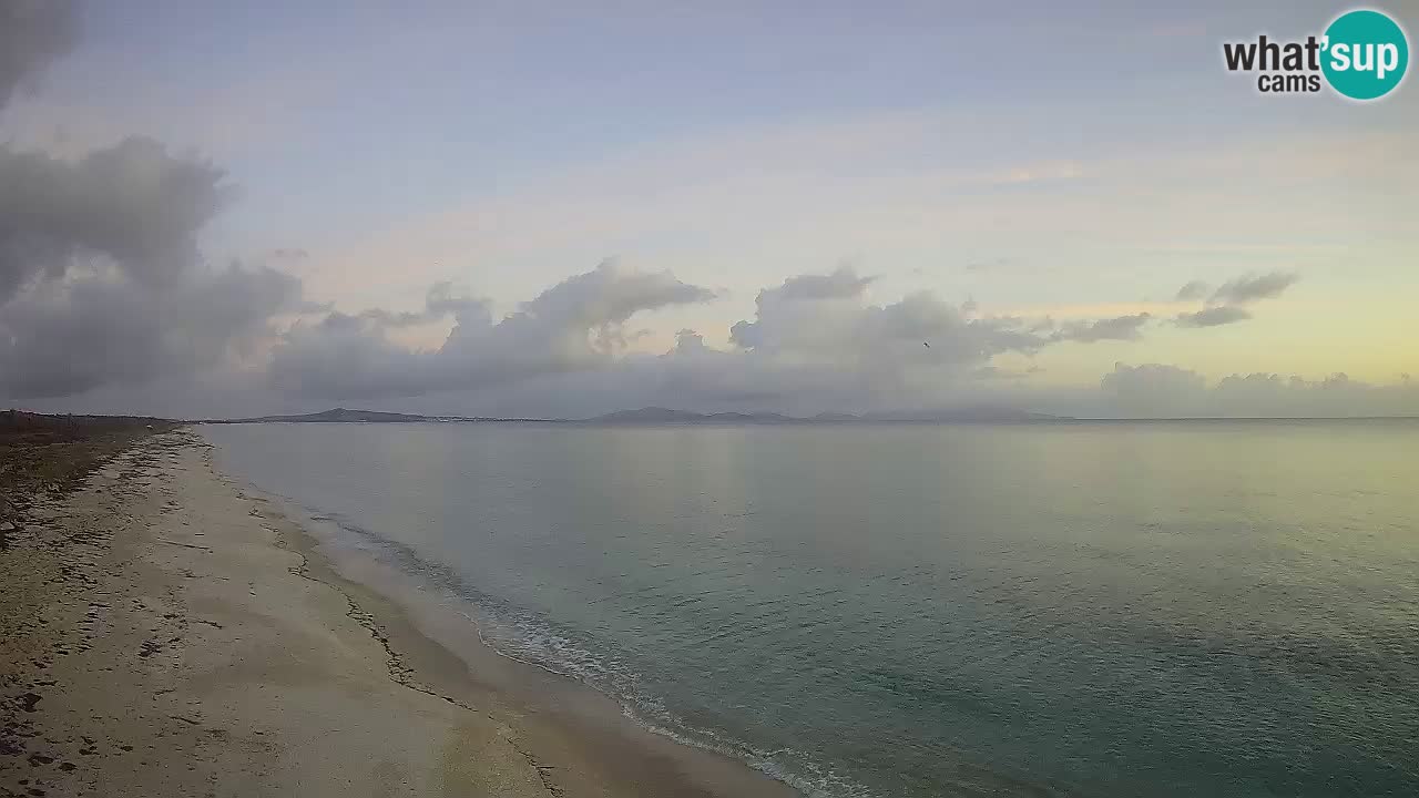 Plaža Le Saline spletna kamera Stintino – Sardinija