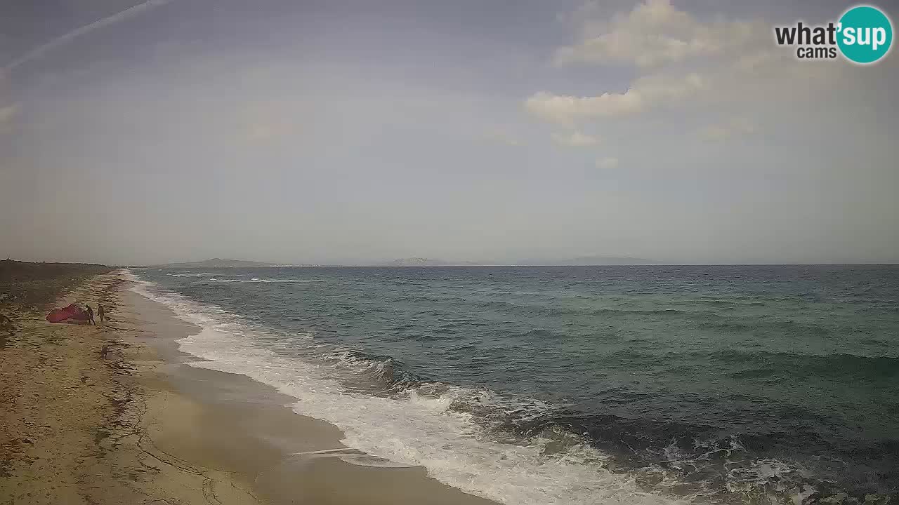 Strand Le Saline webcam Stintino – Sardinien