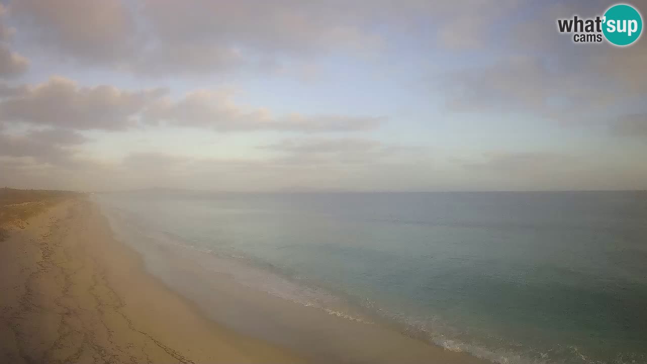 Beach Le Saline webcam live Stintino – Sardinia