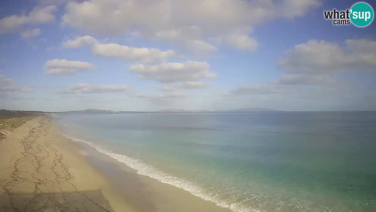 Beach Le Saline webcam live Stintino – Sardinia