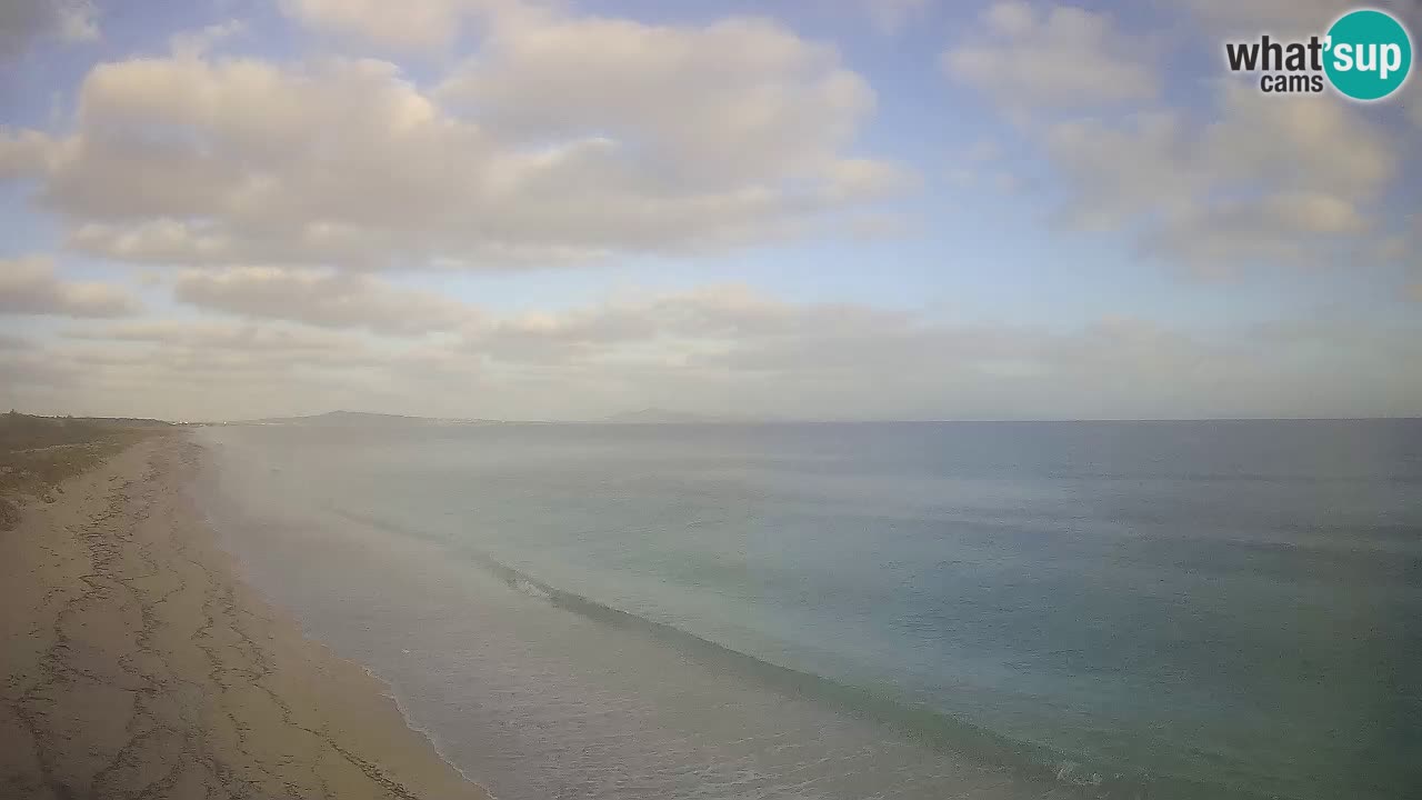 Plaža Le Saline spletna kamera Stintino – Sardinija