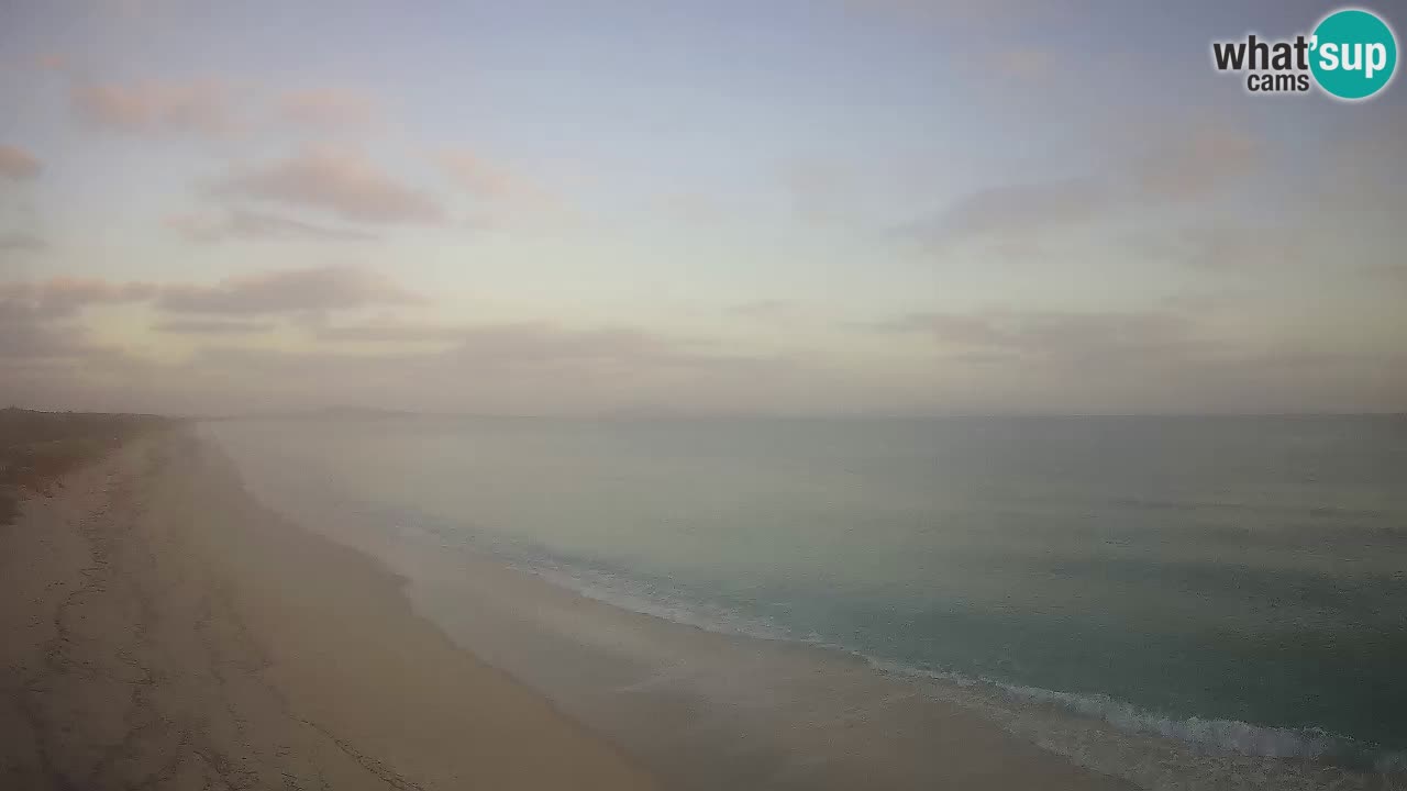 Playa Le Saline camera en vivo Stintino – Cerdeña