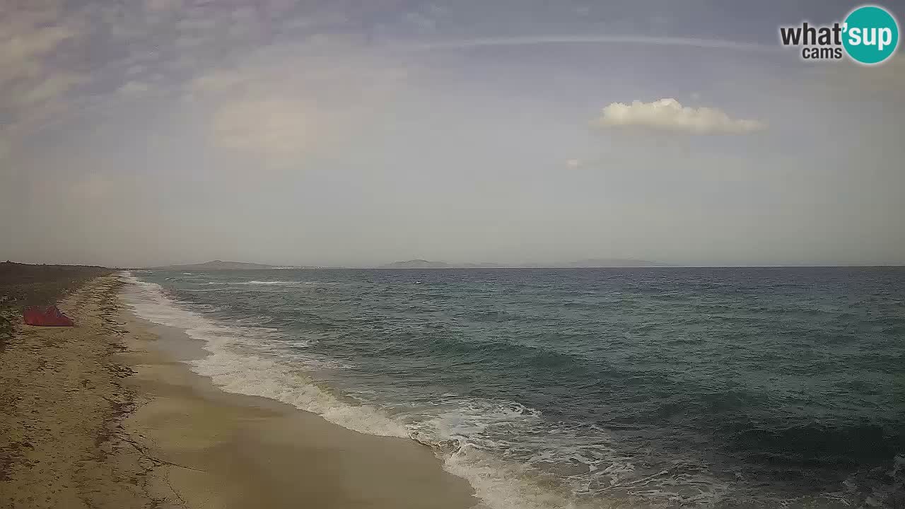 Plage Le Saline Live cam Stintino – Sardaigne