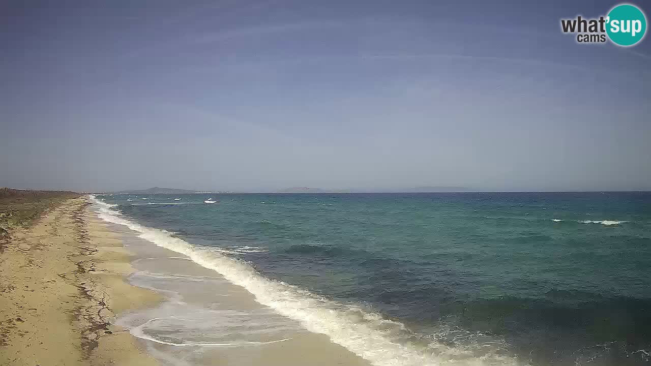 Strand Le Saline webcam Stintino – Sardinien