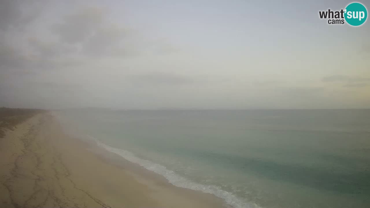 Beach Le Saline webcam live Stintino – Sardinia