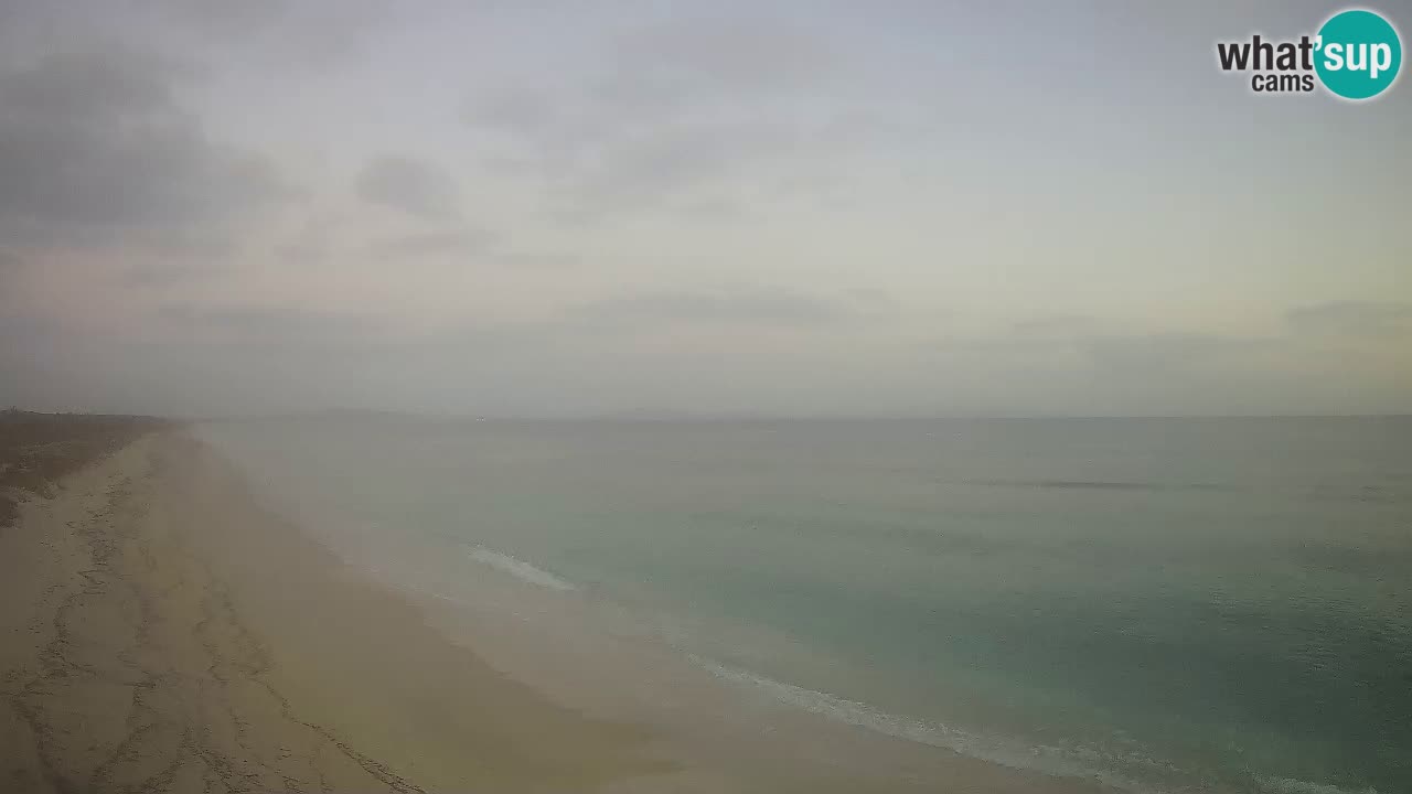 Strand Le Saline webcam Stintino – Sardinien