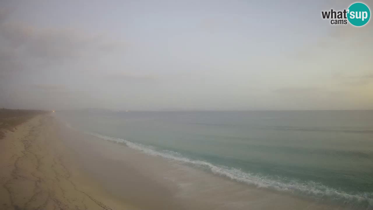 Beach Le Saline webcam live Stintino – Sardinia