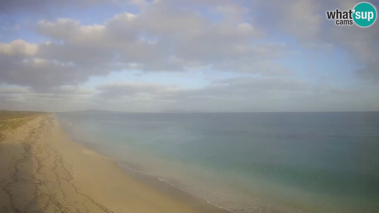 Plaža Le Saline spletna kamera Stintino – Sardinija