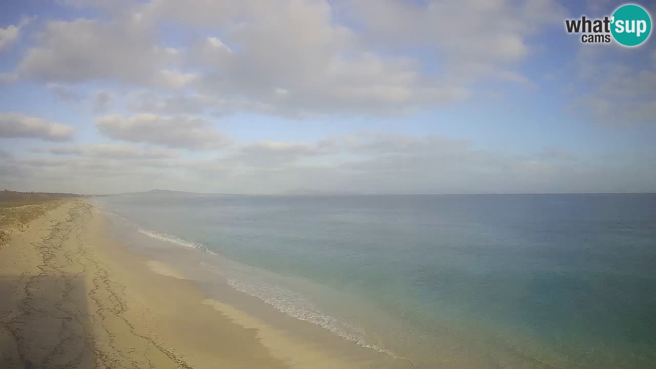 Plaža Le Saline spletna kamera Stintino – Sardinija