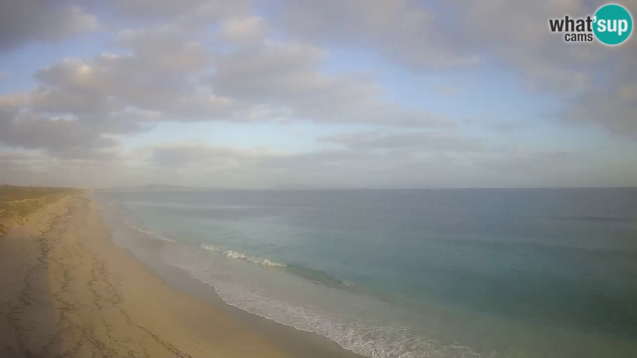 Plage Le Saline Live cam Stintino – Sardaigne