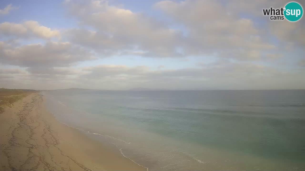 Plaža Le Saline spletna kamera Stintino – Sardinija