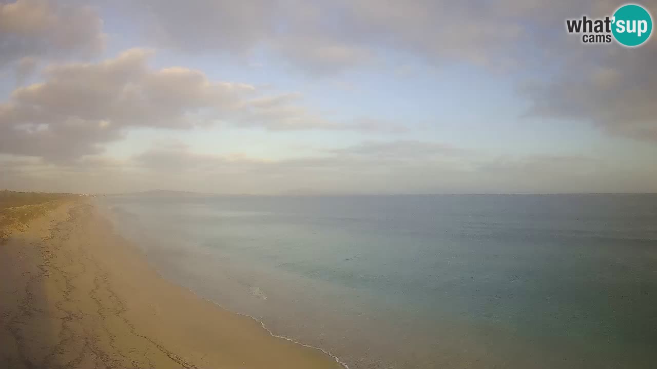 Strand Le Saline webcam Stintino – Sardinien