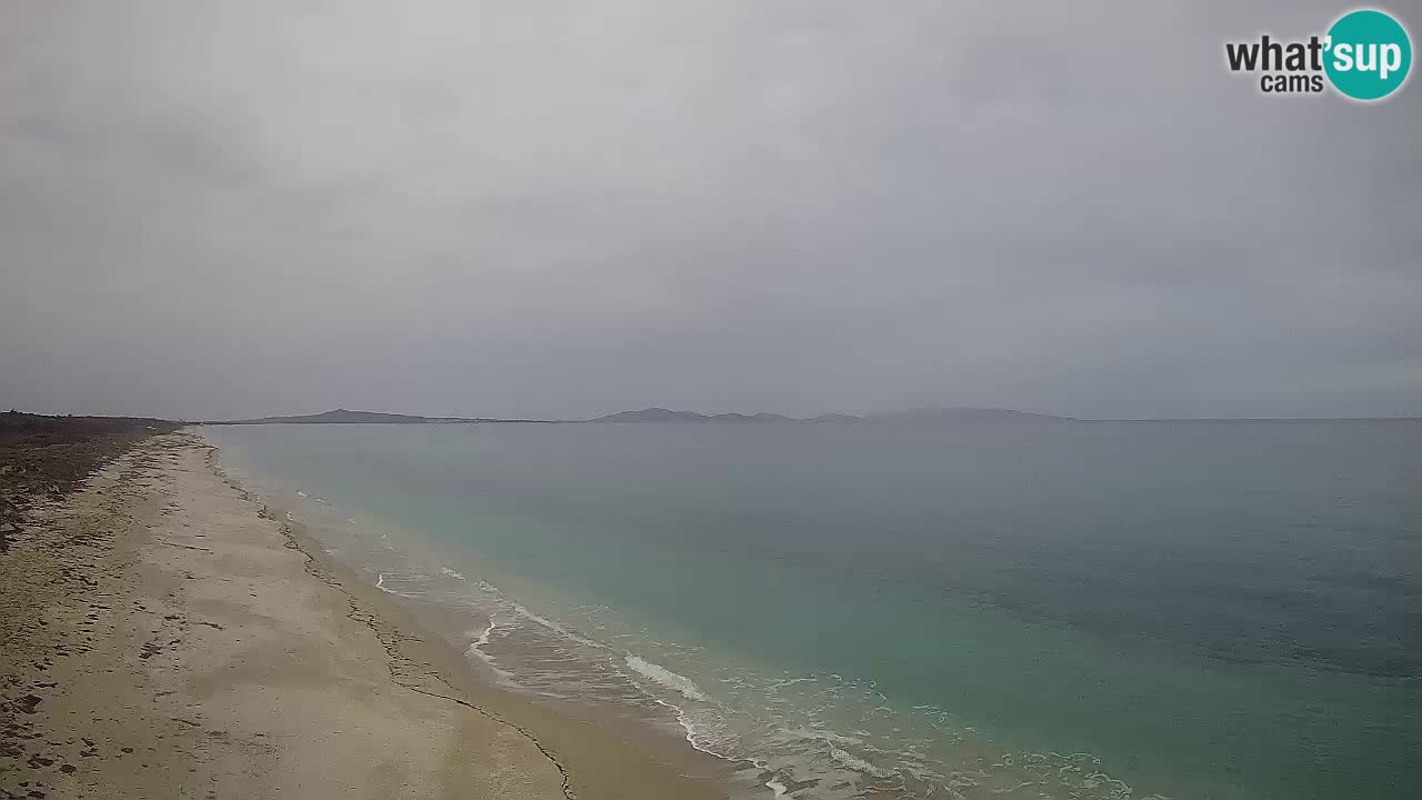 Beach Le Saline webcam live Stintino – Sardinia