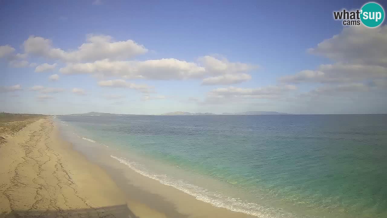 Beach Le Saline webcam live Stintino – Sardinia