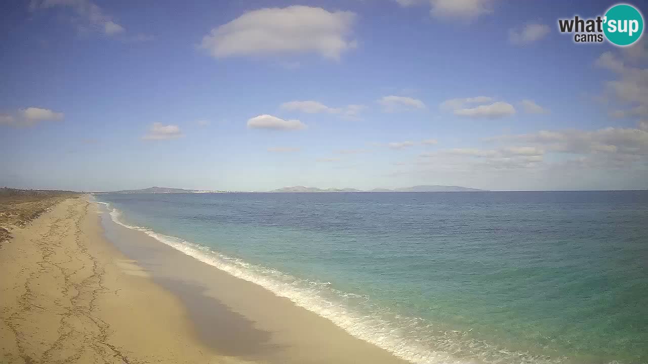 Playa Le Saline camera en vivo Stintino – Cerdeña