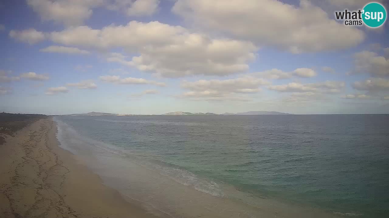 Beach Le Saline webcam live Stintino – Sardinia