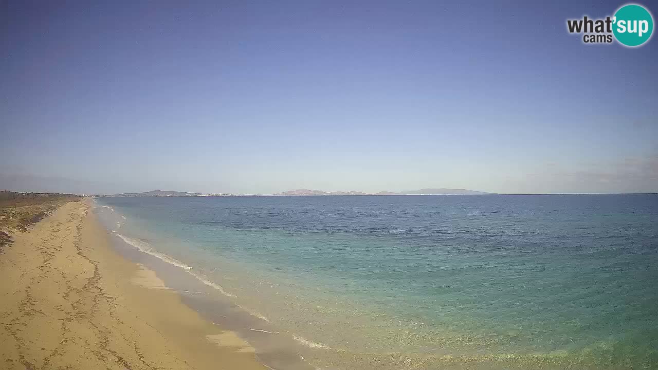 Playa Le Saline camera en vivo Stintino – Cerdeña