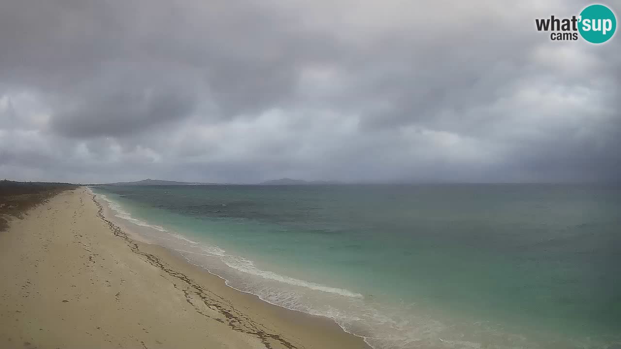 Beach Le Saline webcam live Stintino – Sardinia