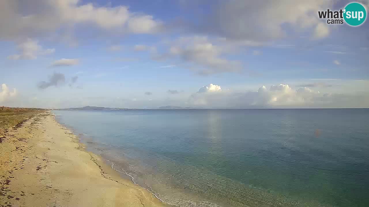 Strand Le Saline webcam Stintino – Sardinien