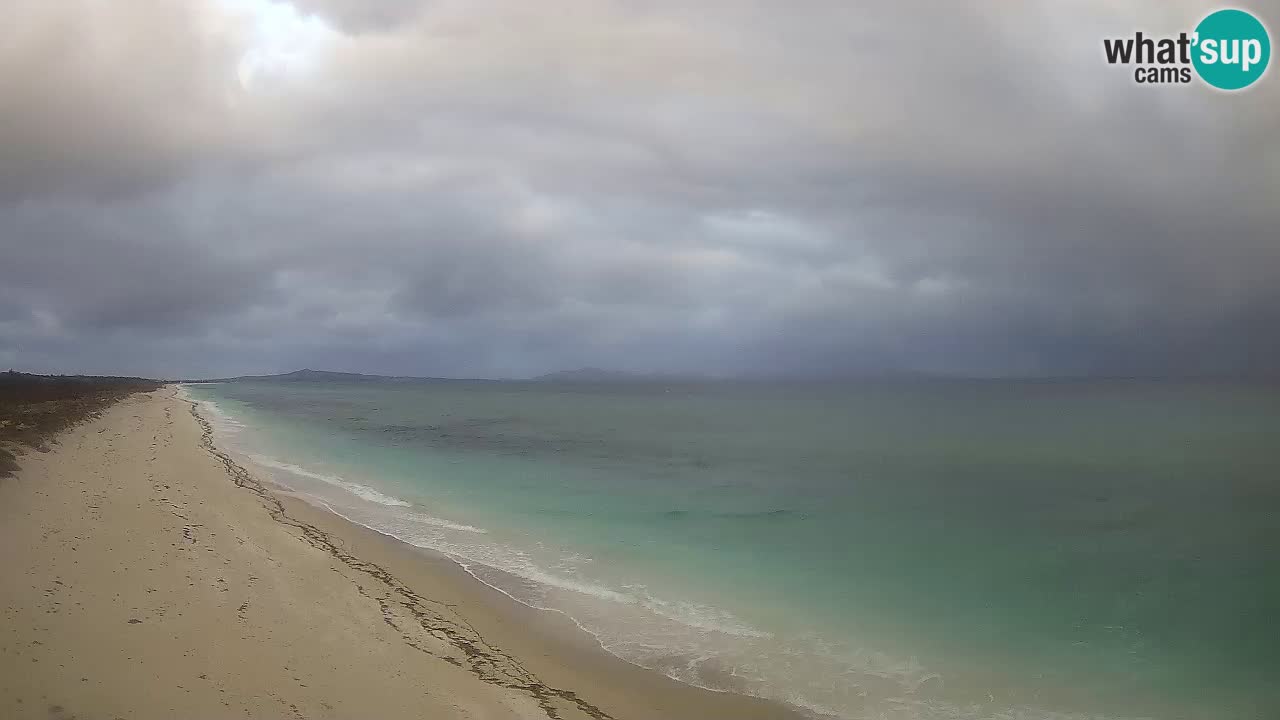 Beach Le Saline webcam live Stintino – Sardinia