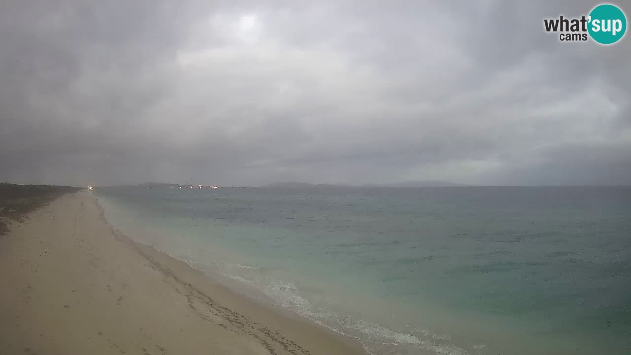 Spiaggia Le Saline webcam Stintino – Sardegna