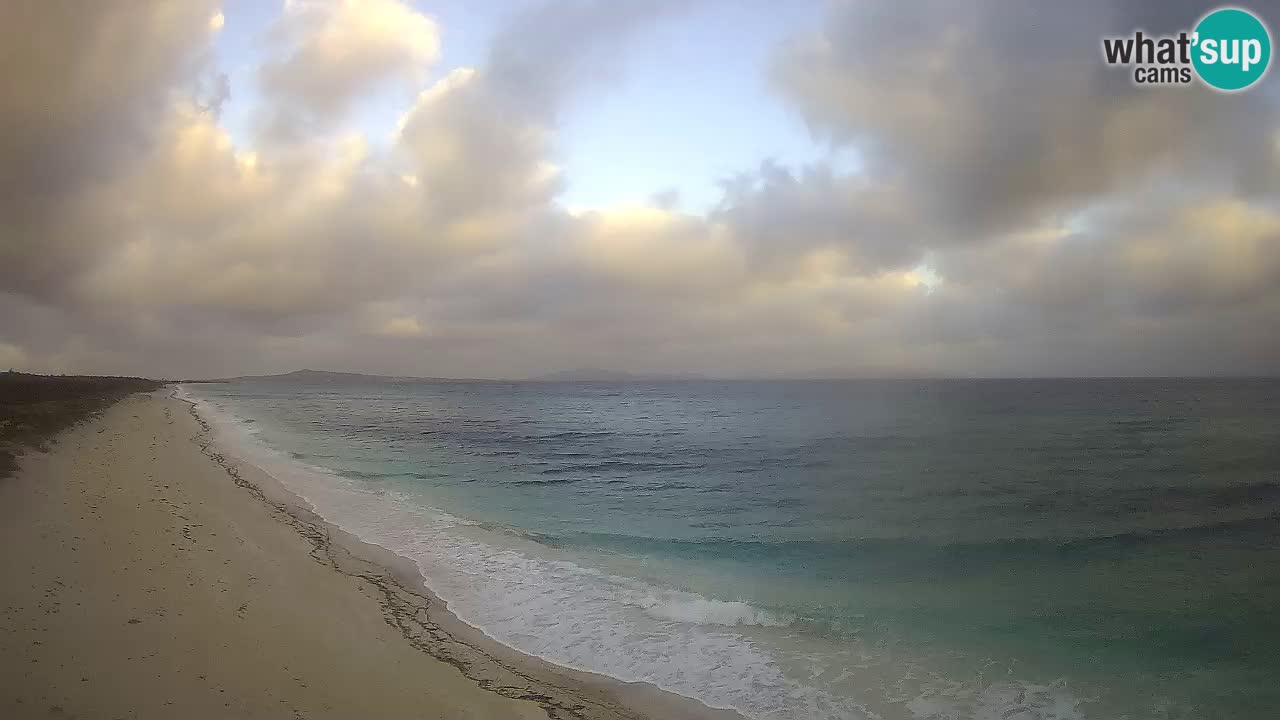 Beach Le Saline webcam live Stintino – Sardinia