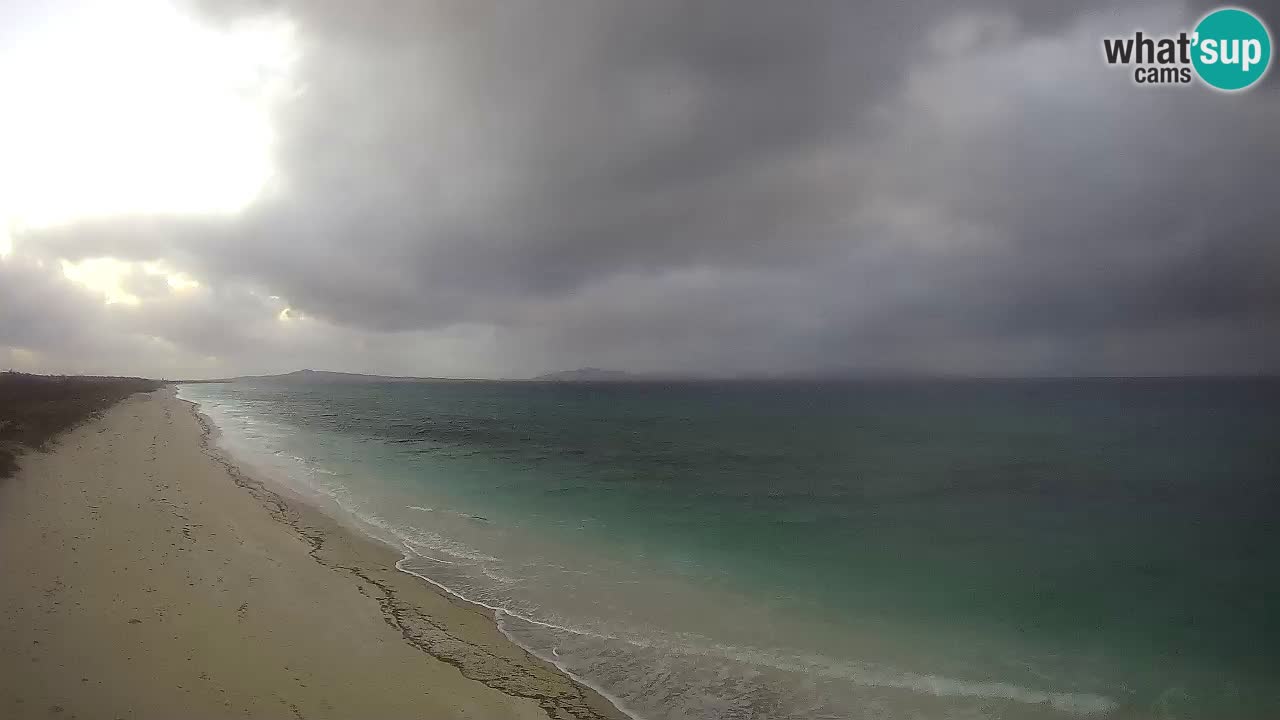 Spiaggia Le Saline webcam Stintino – Sardegna