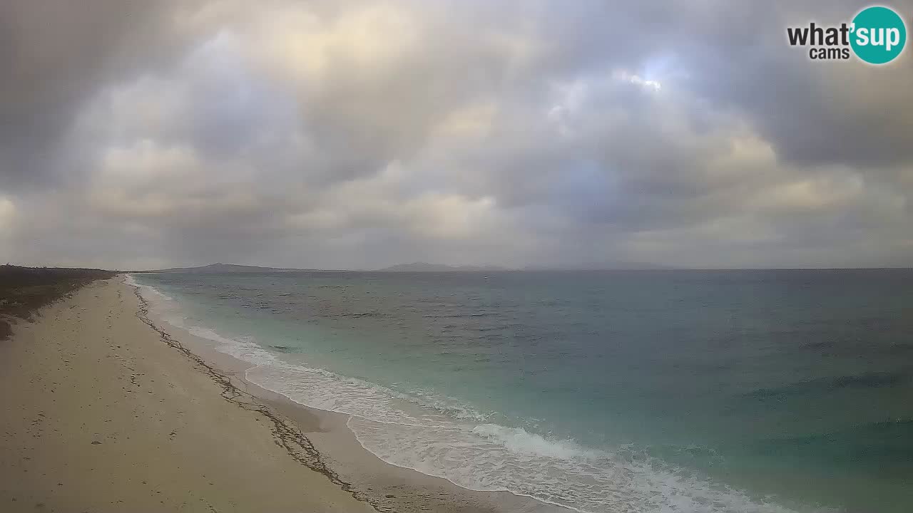 Spiaggia Le Saline webcam Stintino – Sardegna