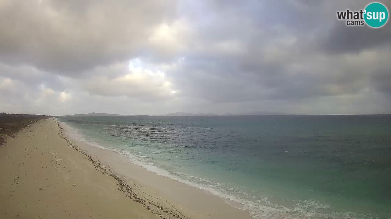 Beach Le Saline webcam live Stintino – Sardinia