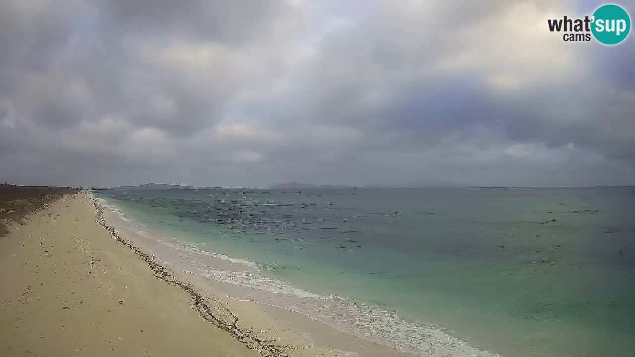 Strand Le Saline webcam Stintino – Sardinien