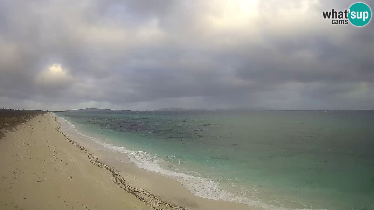 Spiaggia Le Saline webcam Stintino – Sardegna