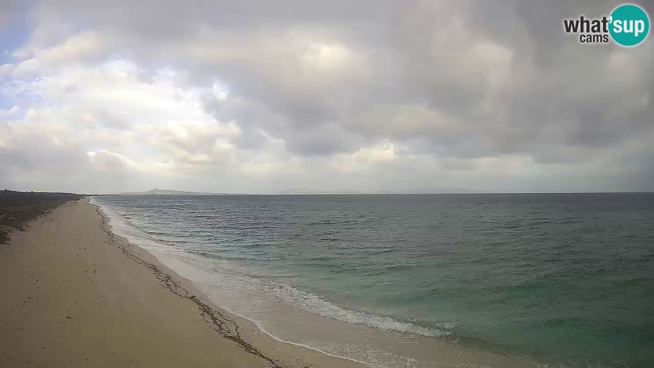 Spiaggia Le Saline webcam Stintino – Sardegna