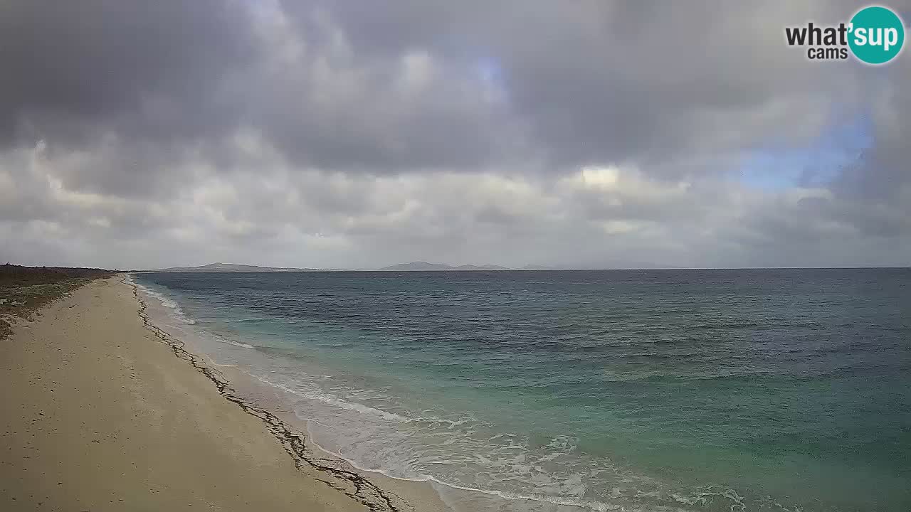 Strand Le Saline webcam Stintino – Sardinien