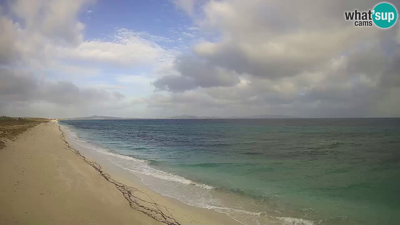 Beach Le Saline webcam live Stintino – Sardinia