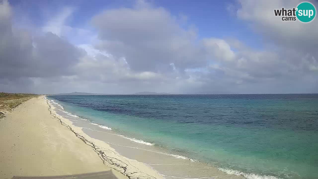 Playa Le Saline camera en vivo Stintino – Cerdeña