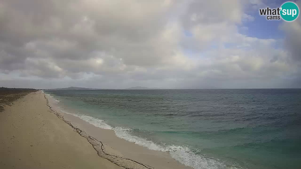 Spiaggia Le Saline webcam Stintino – Sardegna