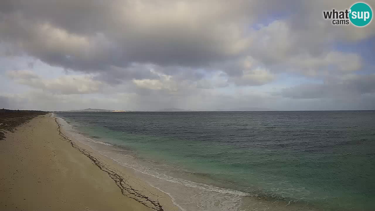 Beach Le Saline webcam live Stintino – Sardinia