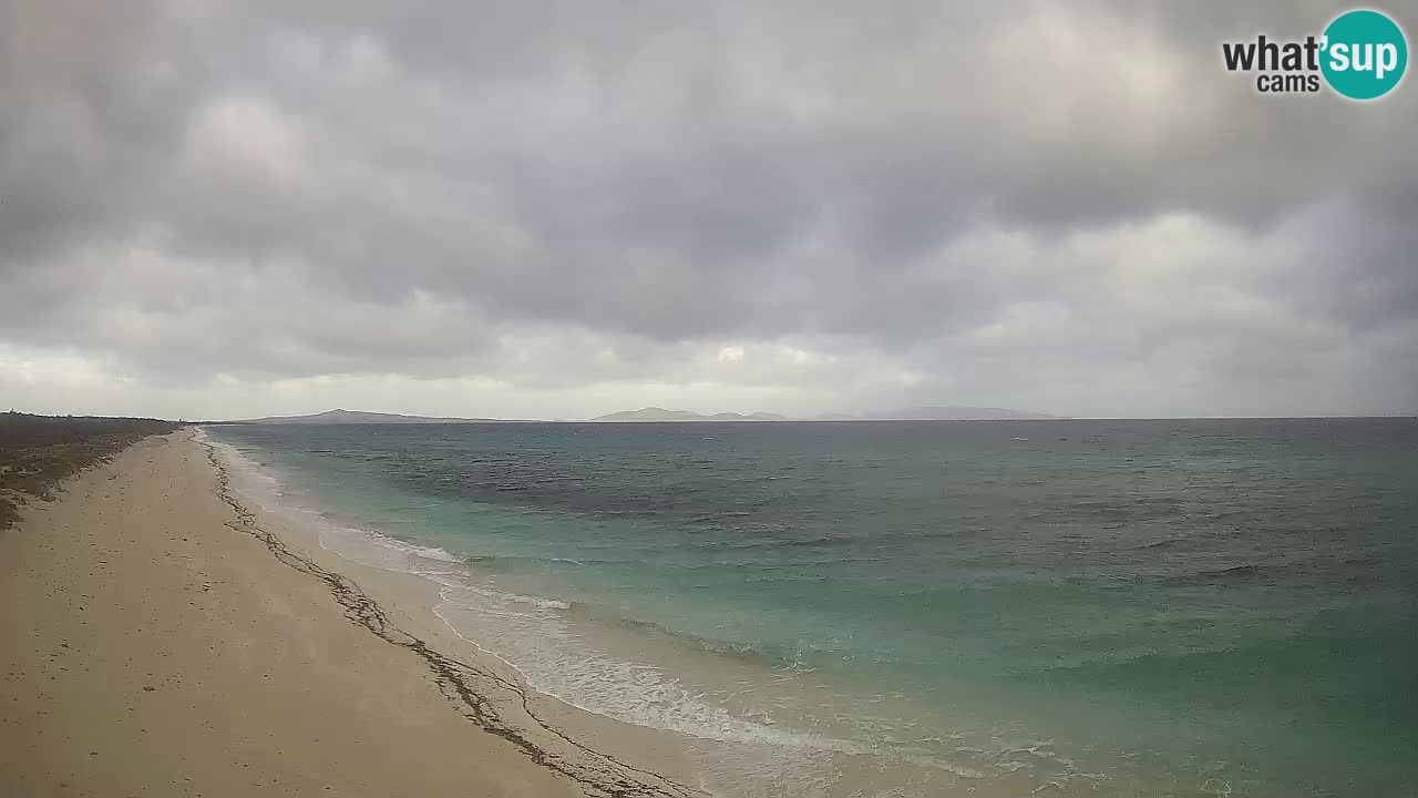 Strand Le Saline webcam Stintino – Sardinien