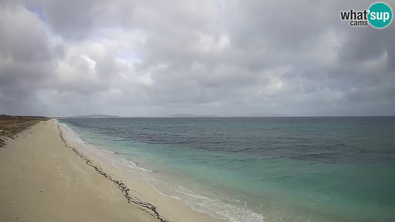 Playa Le Saline camera en vivo Stintino – Cerdeña