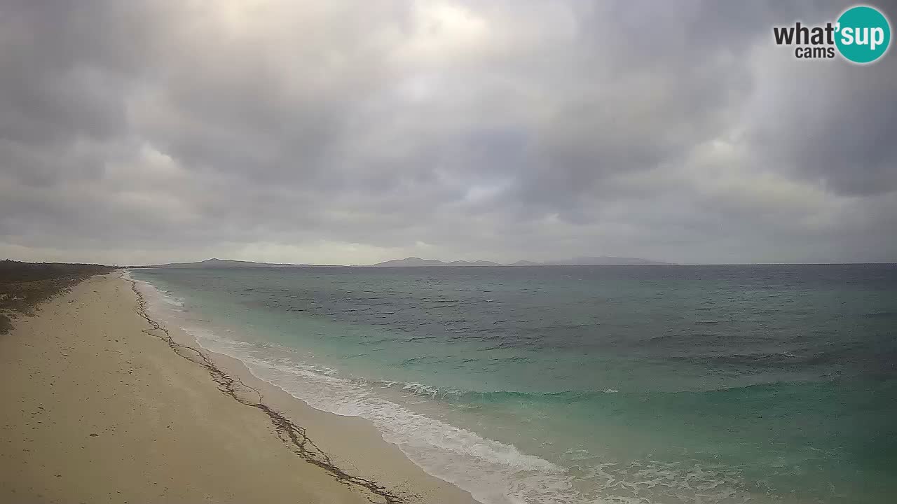 Plaža Le Saline spletna kamera Stintino – Sardinija