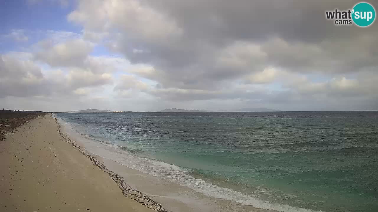 Beach Le Saline webcam live Stintino – Sardinia