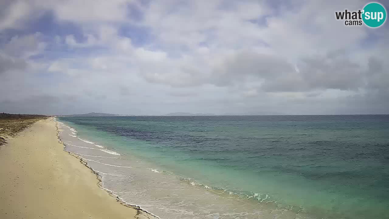 Plaža Le Saline spletna kamera Stintino – Sardinija