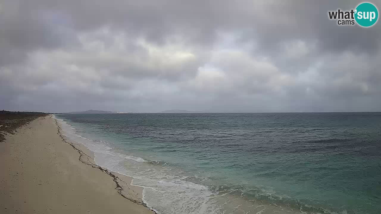 Playa Le Saline camera en vivo Stintino – Cerdeña