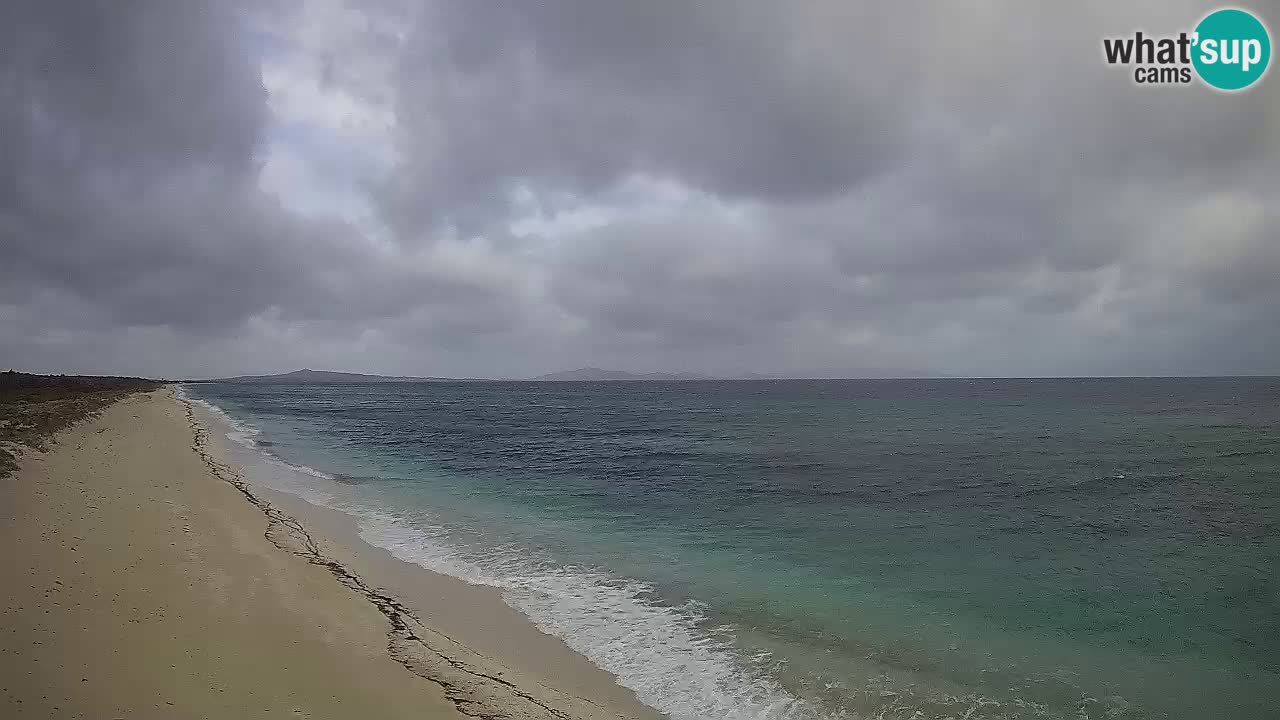 Beach Le Saline webcam live Stintino – Sardinia