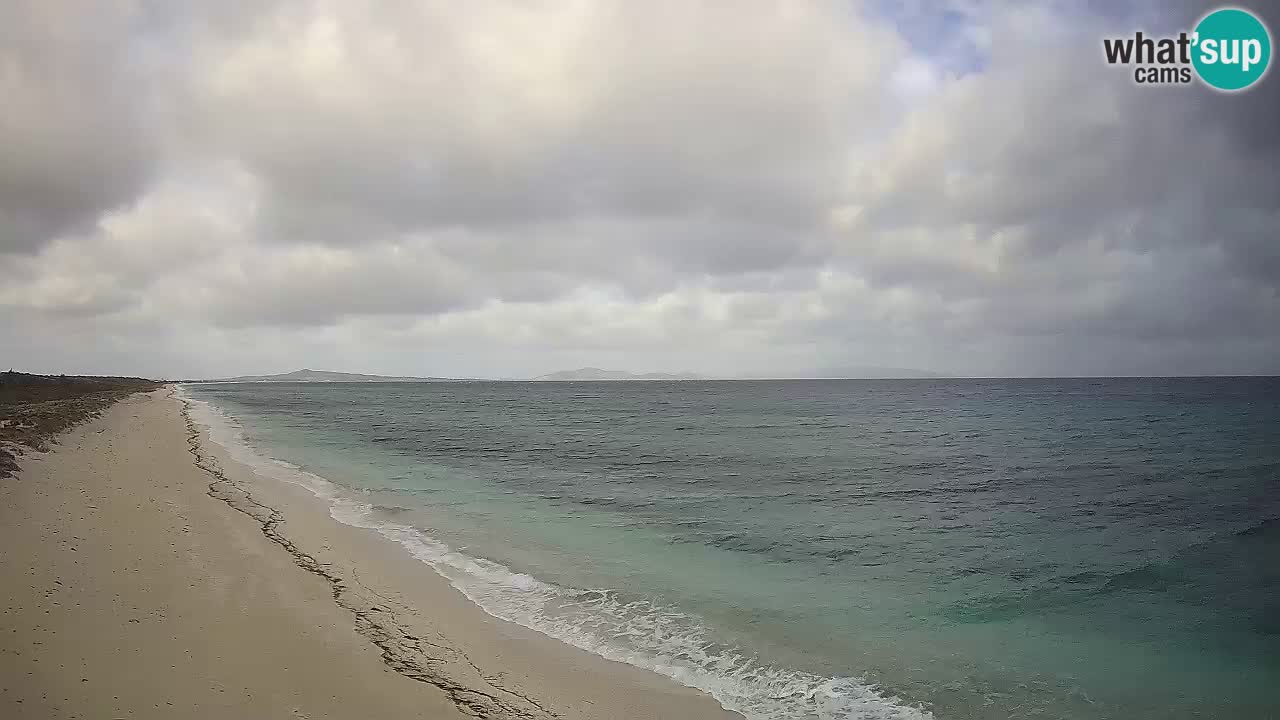 Beach Le Saline webcam live Stintino – Sardinia