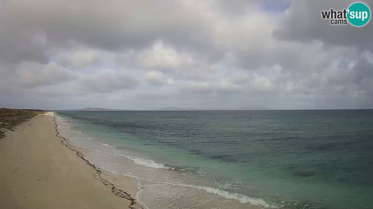 Plage Le Saline Live cam Stintino – Sardaigne