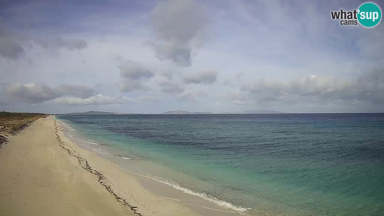 Plaža Le Saline spletna kamera Stintino – Sardinija