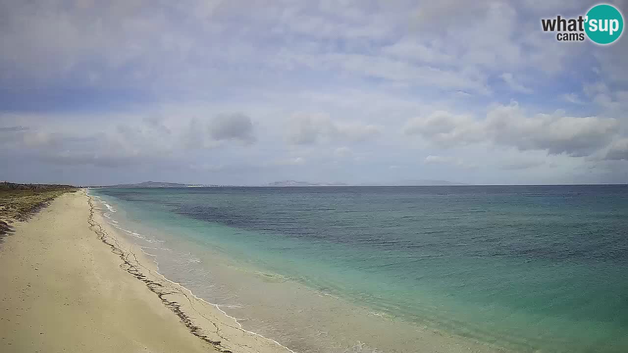 Plaža Le Saline spletna kamera Stintino – Sardinija